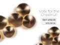 Voting is open! Vote for the VISO Chestnut in the darc decorative awards