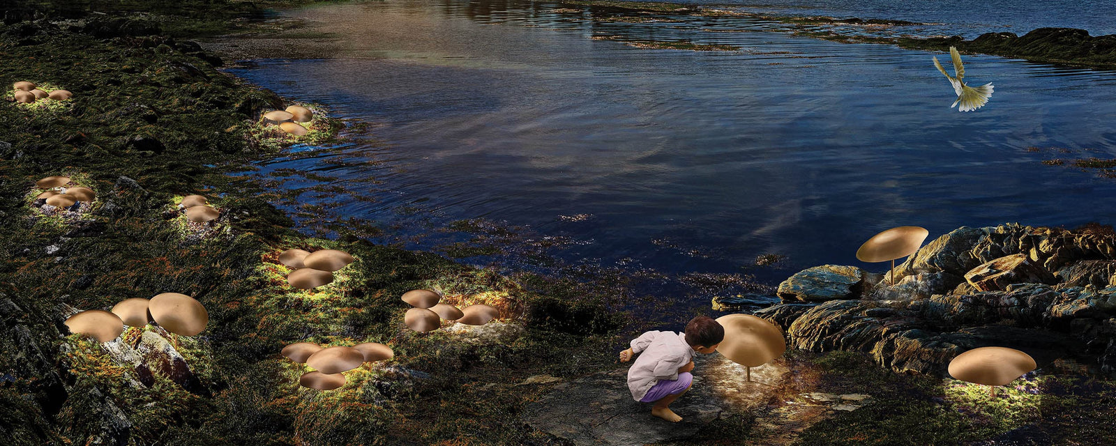 EXPERIENCE THE FANTASTICAL NATURE OF LIGHT WITH VISO CHESTNUT