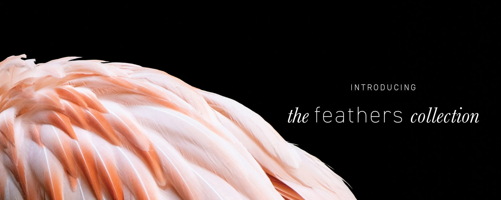 #LETSBETOGETHEREVENWHENFARAPART