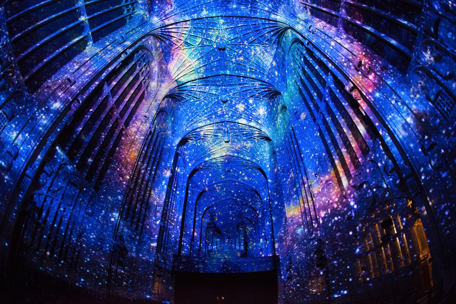 THE ART INSTITUTE OF CHICAGO ARCHITECTURE: THE ARCHITECTURE OF DAVID ADJAYE