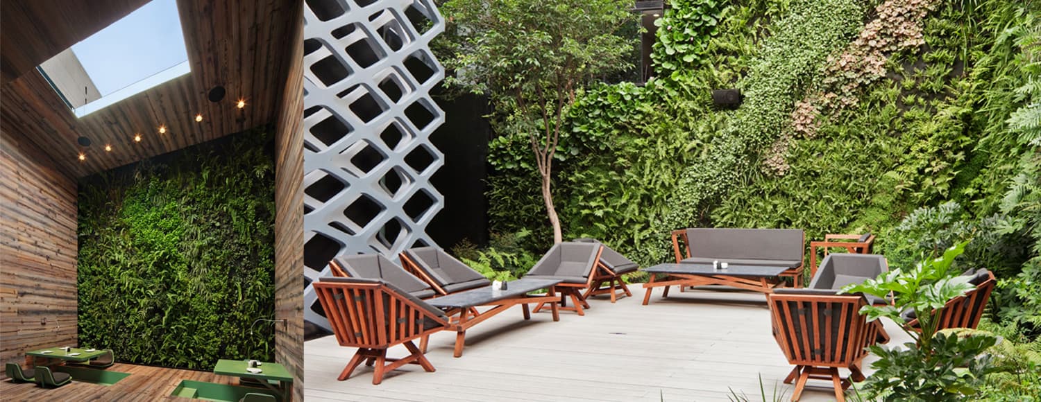 GREEN WALLS: HANGING GARDEN OF BABYLON